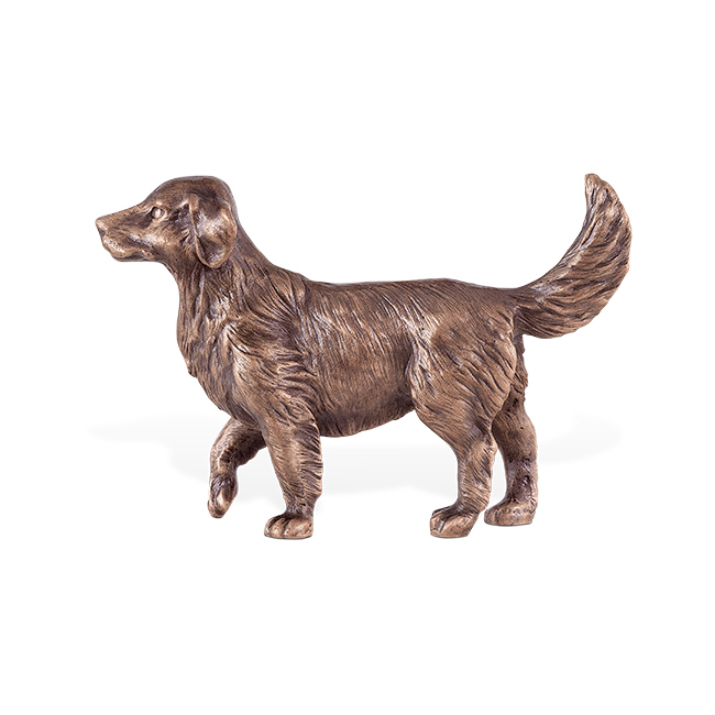 Hund 85 405