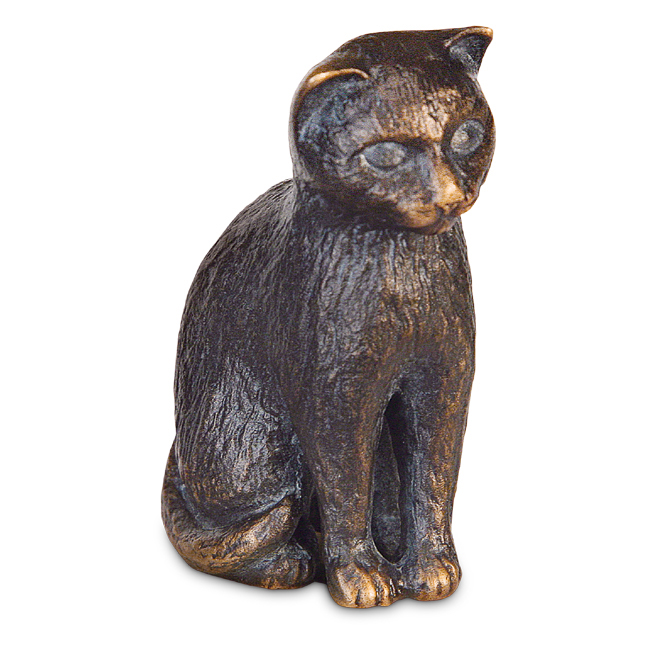 Katt 85 378