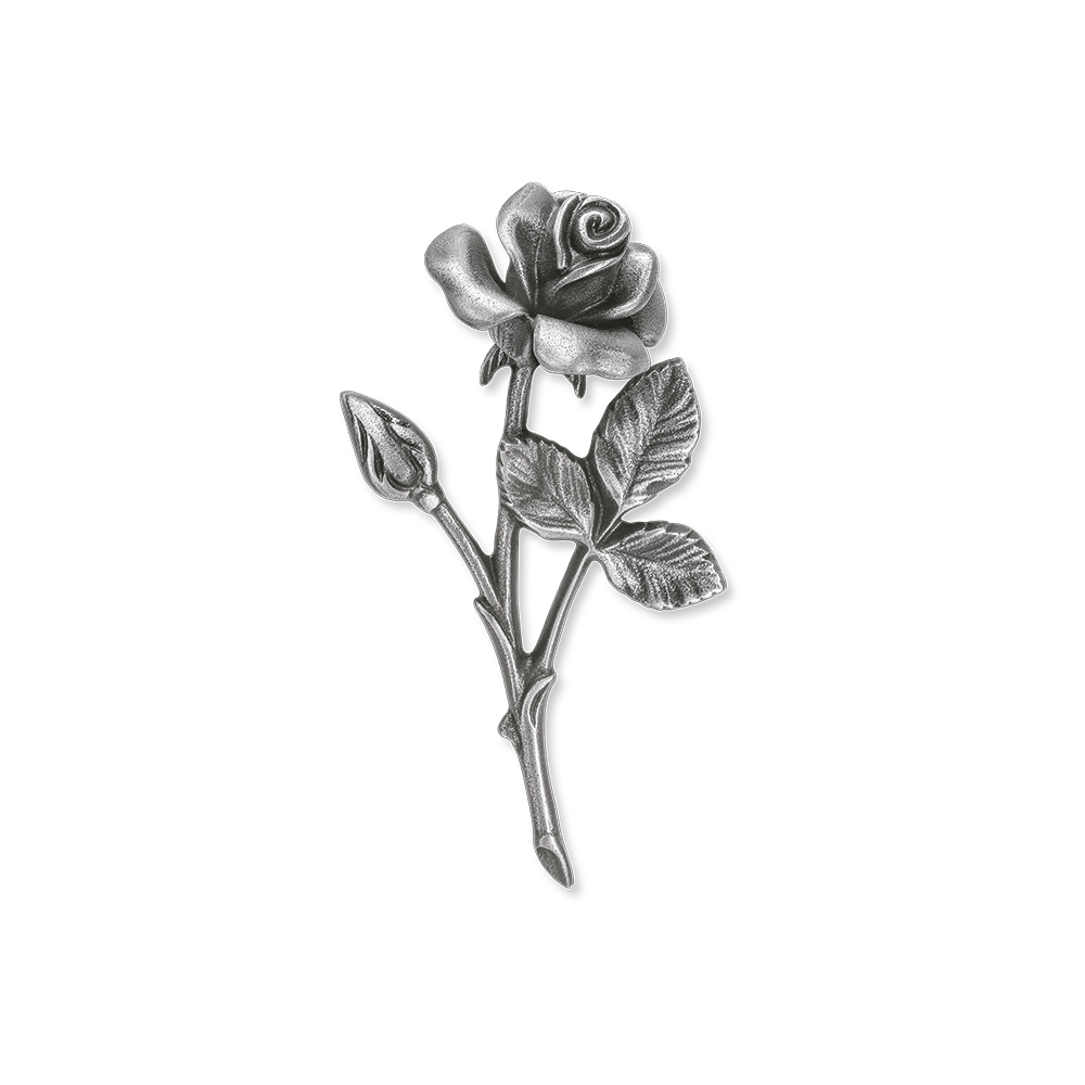 Rose 20 544 A