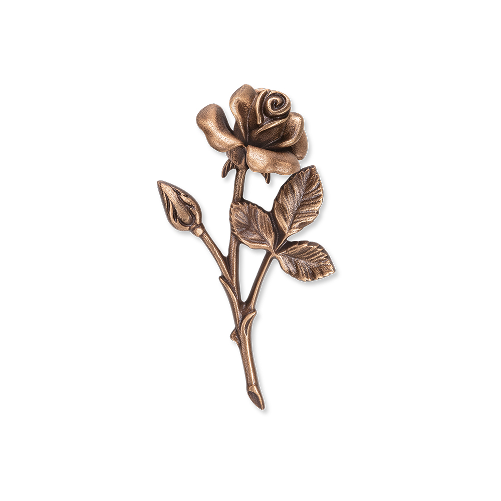 Rose 20 544 B