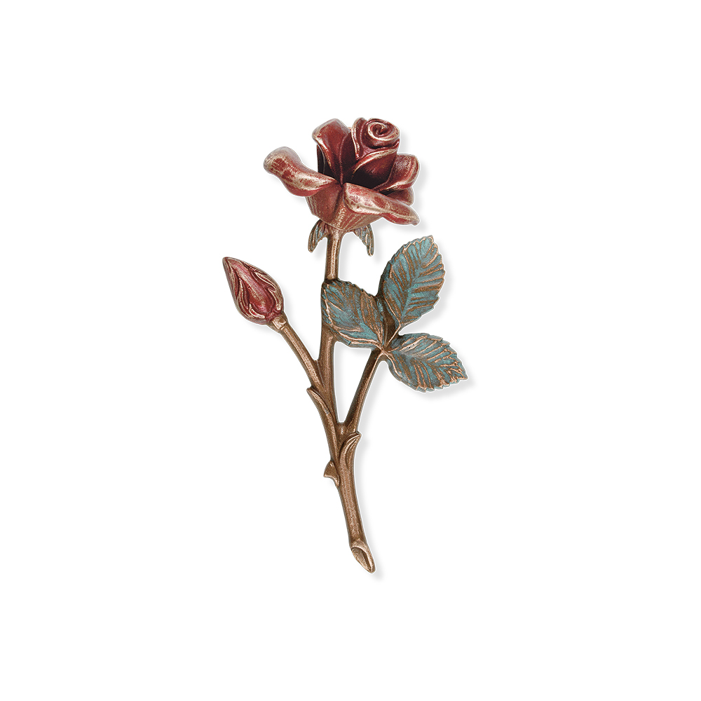Rose 20 544